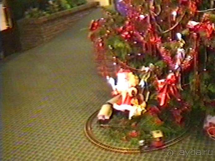 Впервые в Амстердаме