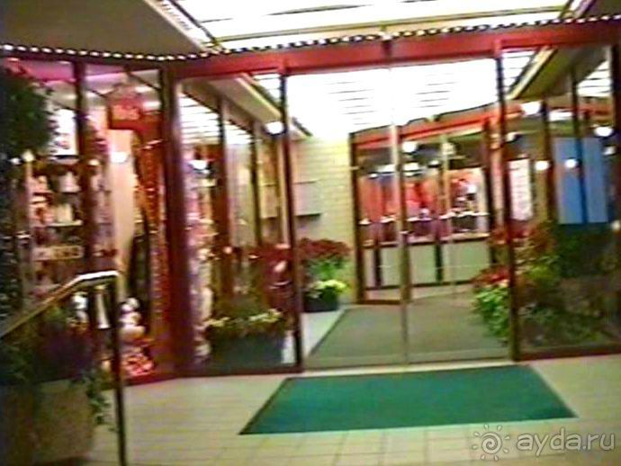 Впервые в Амстердаме