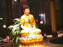 Впервые в Амстердаме