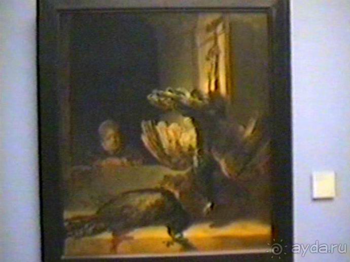 Впервые в Амстердаме