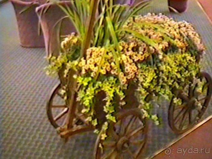 Впервые в Амстердаме