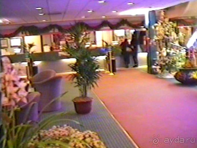 Впервые в Амстердаме