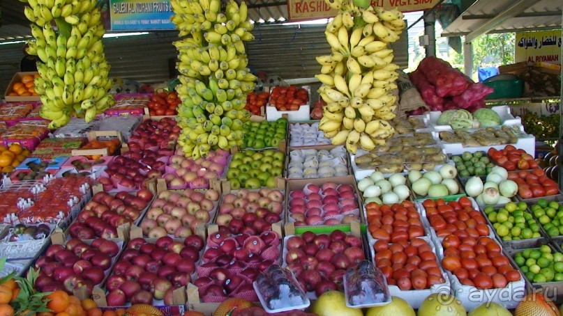 Эмираты в декабре: часть 7 - Фуджейра и Дибба Аль-Хисн