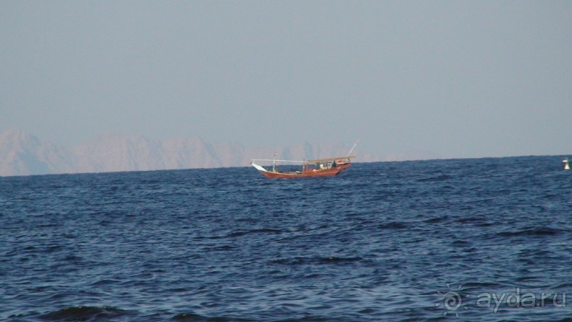 Эмираты в декабре: часть 7 - Фуджейра и Дибба Аль-Хисн