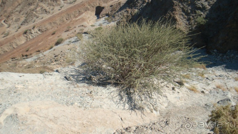 Эмираты в декабре: часть 7 - Фуджейра и Дибба Аль-Хисн