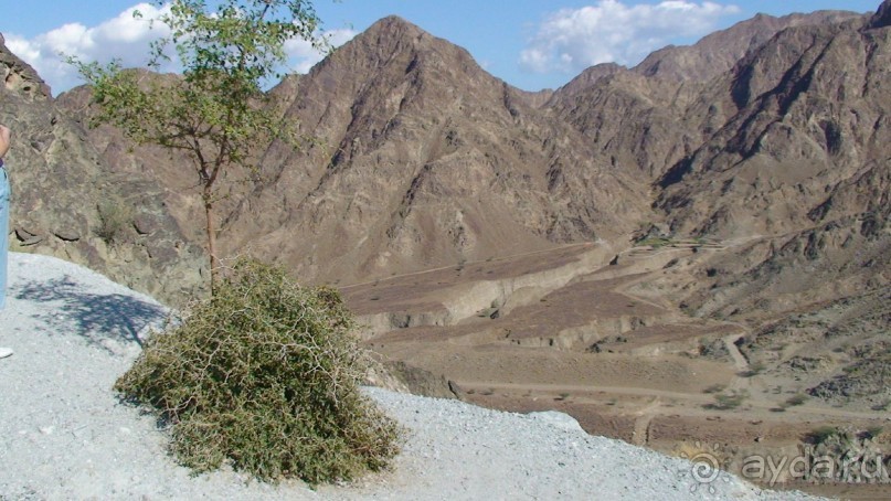 Эмираты в декабре: часть 7 - Фуджейра и Дибба Аль-Хисн