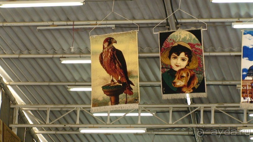 Эмираты в декабре: часть 7 - Фуджейра и Дибба Аль-Хисн