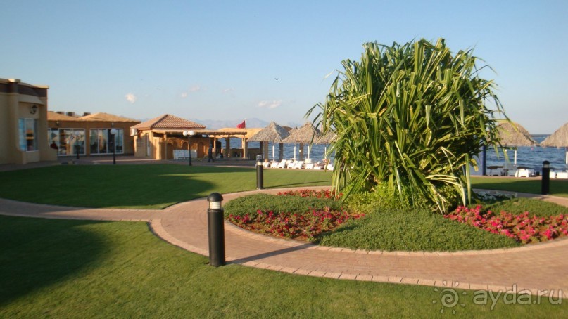 Эмираты в декабре: часть 7 - Фуджейра и Дибба Аль-Хисн