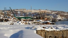 Сивучи в Петропавловске!