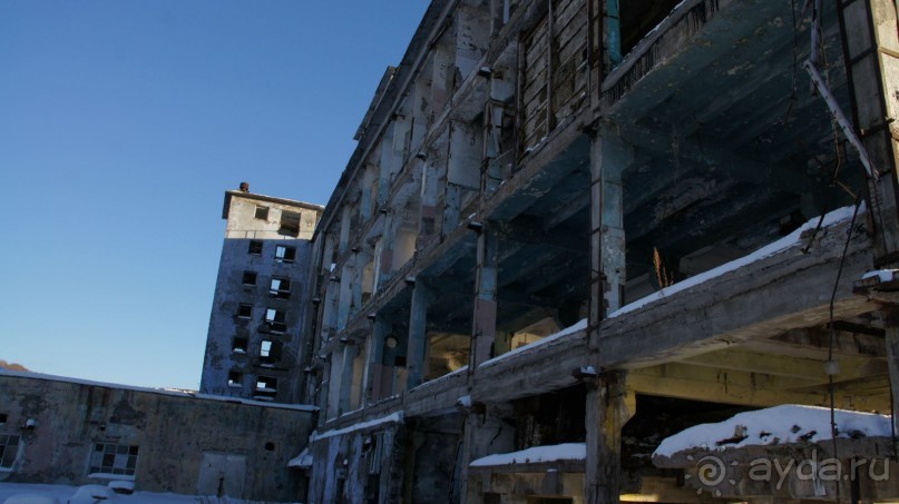 Сивучи в Петропавловске!