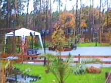 Впервые в Дрездене