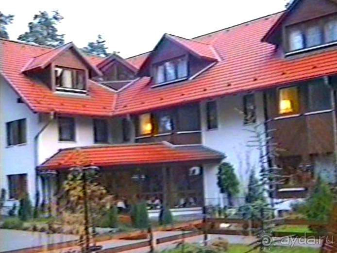 Впервые в Дрездене