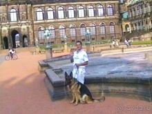 Поездка в Германию на автомобиле с немецкой овчаркой. Часть 9. Дрезден.