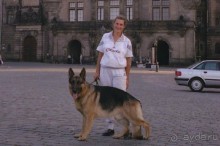 Поездка в Германию на автомобиле с немецкой овчаркой. Часть 9. Дрезден.