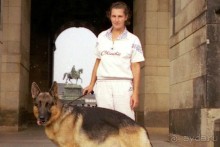 Поездка в Германию на автомобиле с немецкой овчаркой. Часть 9. Дрезден.