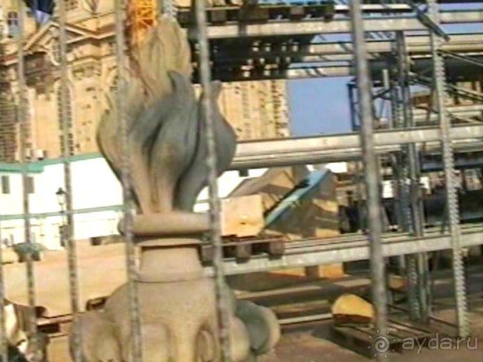 Поездка в Германию на автомобиле с немецкой овчаркой. Часть 9. Дрезден.