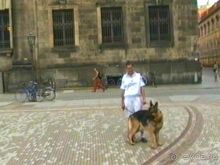 Поездка в Германию на автомобиле с немецкой овчаркой. Часть 9. Дрезден.