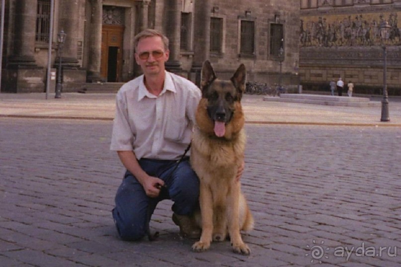 Поездка в Германию на автомобиле с немецкой овчаркой. Часть 9. Дрезден.