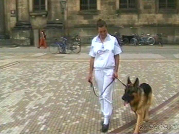 Поездка в Германию на автомобиле с немецкой овчаркой. Часть 9. Дрезден.
