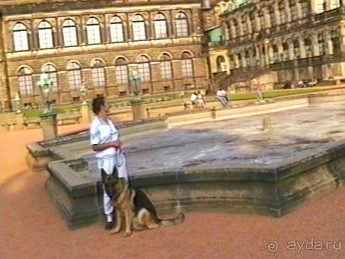 Поездка в Германию на автомобиле с немецкой овчаркой. Часть 9. Дрезден.