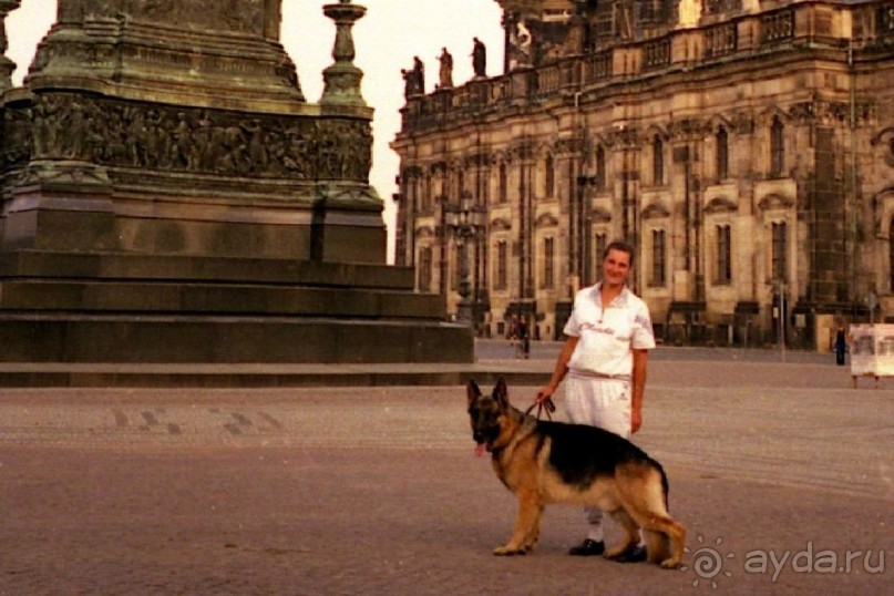 Поездка в Германию на автомобиле с немецкой овчаркой. Часть 9. Дрезден.