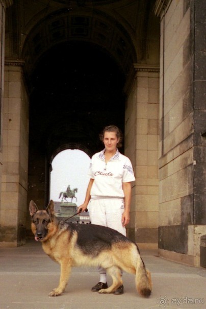Поездка в Германию на автомобиле с немецкой овчаркой. Часть 9. Дрезден.