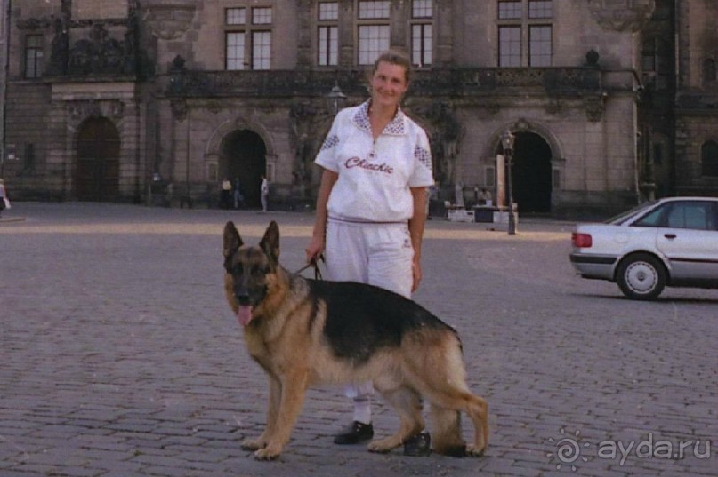 Поездка в Германию на автомобиле с немецкой овчаркой. Часть 9. Дрезден.