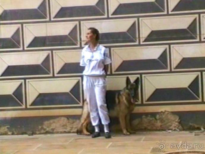 Поездка в Германию на автомобиле с немецкой овчаркой. Часть 9. Дрезден.