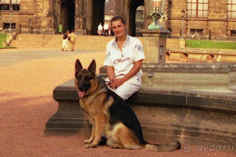 Поездка в Германию на автомобиле с немецкой овчаркой. Часть 9. Дрезден.