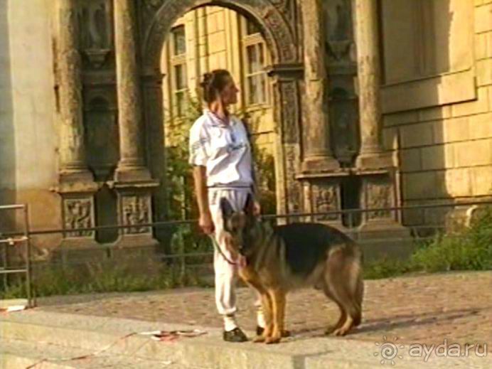 Поездка в Германию на автомобиле с немецкой овчаркой. Часть 9. Дрезден.