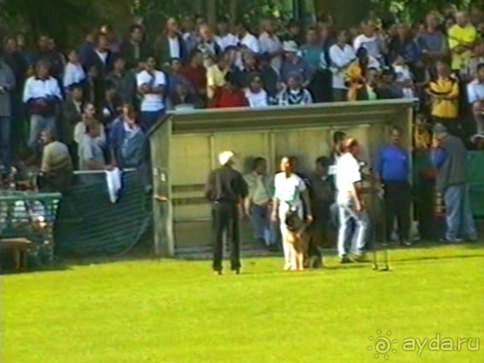 Поездка в Германию на автомобиле с немецкой овчаркой. Часть 4. Первый день Зигера в Карлсруэ