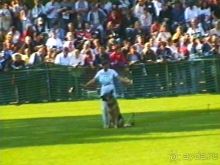 Поездка в Германию на автомобиле с немецкой овчаркой. Часть 4. Первый день Зигера в Карлсруэ