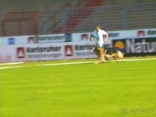 Поездка в Германию на автомобиле с немецкой овчаркой. Часть 4. Первый день Зигера в Карлсруэ