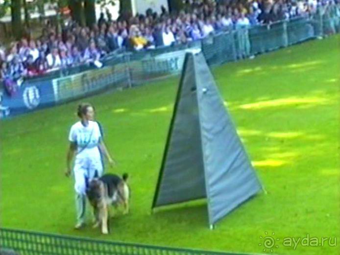 Поездка в Германию на автомобиле с немецкой овчаркой. Часть 4. Первый день Зигера в Карлсруэ