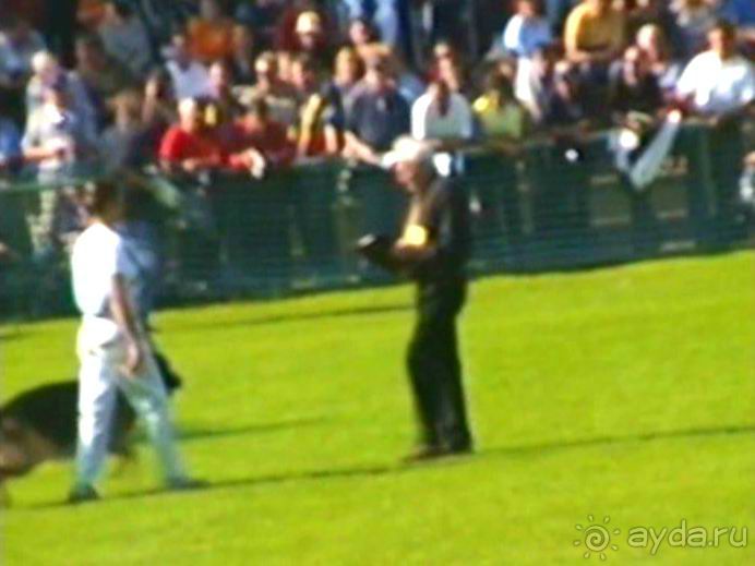 Поездка в Германию на автомобиле с немецкой овчаркой. Часть 4. Первый день Зигера в Карлсруэ