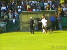 Поездка в Германию на автомобиле с немецкой овчаркой. Часть 4. Первый день Зигера в Карлсруэ