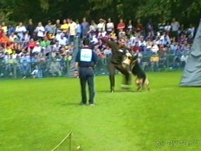 Поездка в Германию на автомобиле с немецкой овчаркой. Часть 4. Первый день Зигера в Карлсруэ
