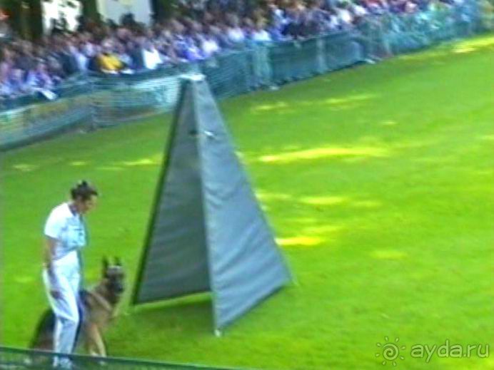 Поездка в Германию на автомобиле с немецкой овчаркой. Часть 4. Первый день Зигера в Карлсруэ