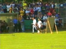 Поездка в Германию на автомобиле с немецкой овчаркой. Часть 4. Первый день Зигера в Карлсруэ