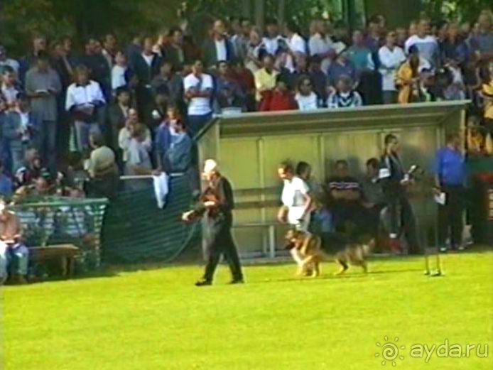 Поездка в Германию на автомобиле с немецкой овчаркой. Часть 4. Первый день Зигера в Карлсруэ