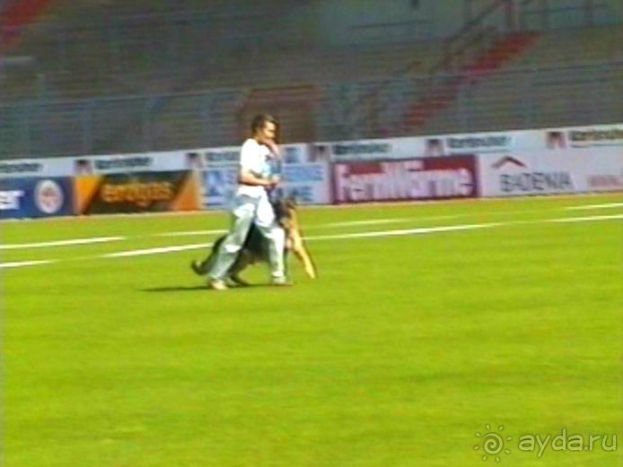 Поездка в Германию на автомобиле с немецкой овчаркой. Часть 4. Первый день Зигера в Карлсруэ