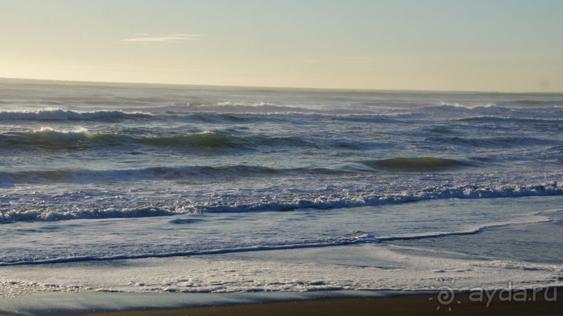 Альбом отзыва "Халактырский берег Тихого Океана"