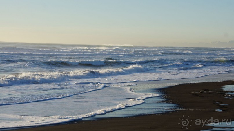 Альбом отзыва "Халактырский берег Тихого Океана"