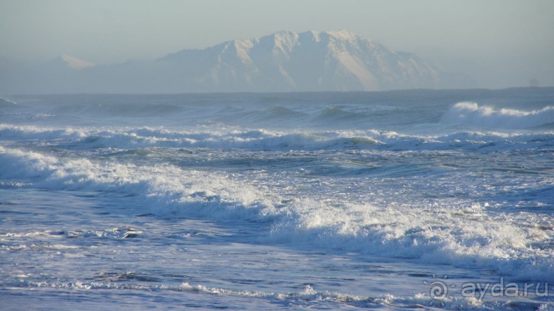 Альбом отзыва "Халактырский берег Тихого Океана"