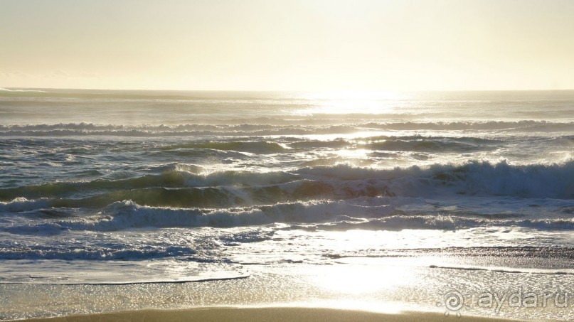 Альбом отзыва "Халактырский берег Тихого Океана"