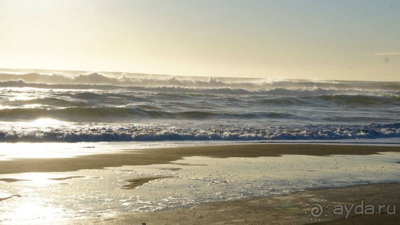 Халактырский берег Тихого Океана