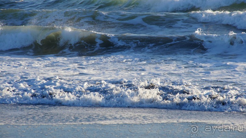 Халактырский берег Тихого Океана