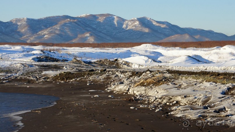 Халактырский берег Тихого Океана