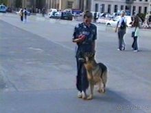 Вторая поездка в Германию на автомобиле: Берлин