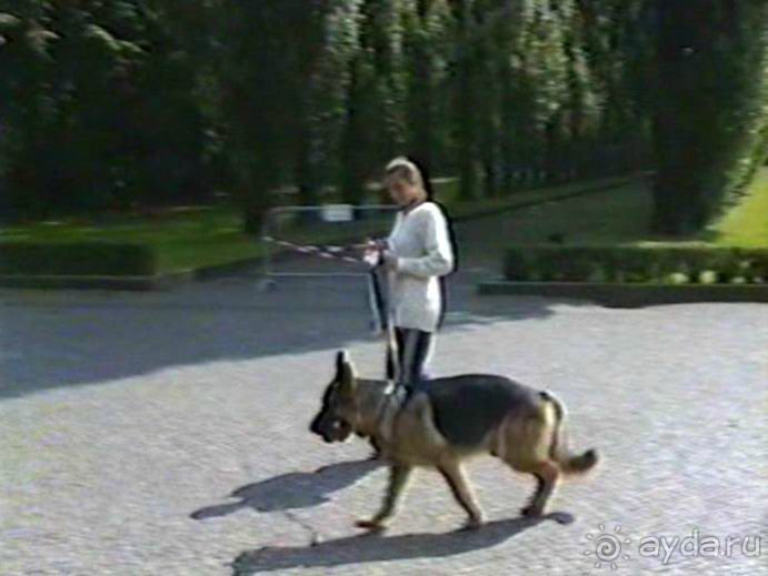 Вторая поездка в Германию на автомобиле: Берлин